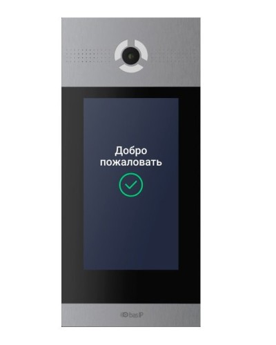 AA-14FBIS SILVER. Вызывная панель IP-домофона. BAS-IP в Сургуте