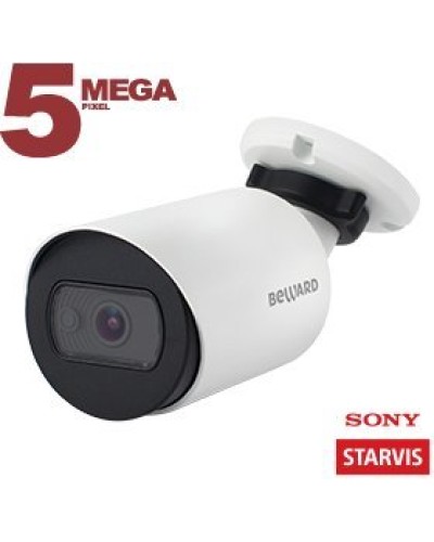 SV3212RC (3.6мм). Видеокамера IP цилиндрическая. Beward в Сургуте