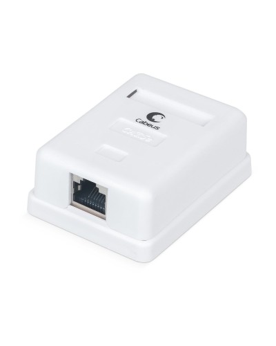 WS-8P8C-Cat.5e-SH-1 (7485c): Розетка RJ-45 в Сургуте