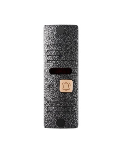 CTV-D10 Plus S (серебро). Вызывная панель цветная. CTV в Сургуте
