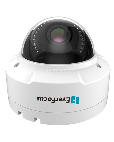 EHN-1250. Видеокамера IP купольная. EverFocus в Сургуте