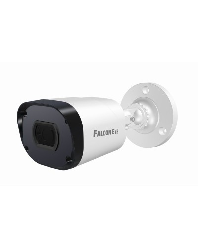 FE-IPC-BP2e-30p. Видеокамера IP цилиндрическая. Falcon EYE в Сургуте