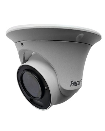 FE-IPC-DV5-40pa. Видеокамера IP купольная. Falcon EYE в Сургуте