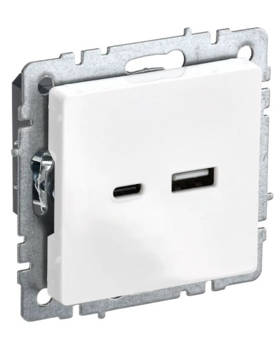 Розетка USB A+C 18Вт РЮ11-1-БрБ белый BRITE (BR-U22-018-K01). Розетка USB. IEK в Сургуте