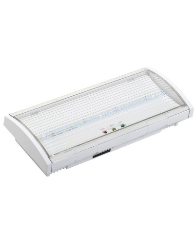 Светильник аварийный ДПА 5040-3 3ч IP54 LIGHTING (LDPA0-5040-3H-K01). Светильник аварийный постоянного действия. IEK в Сургуте