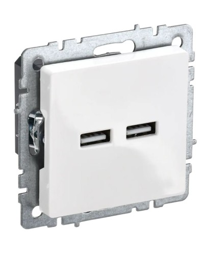 Розетка USB A+A 3,1А РЮ10-1-БрБ белый BRITE (BR-U21-D31-K01). Розетка USB. IEK в Сургуте