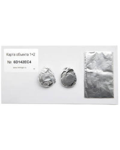 Карта объекта 1+2. Проксимити карта. IronLogic в Сургуте