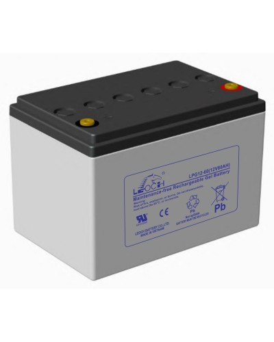 LEOCH LPG 12-60. Аккумулятор герметичный свинцово-кислотный. LEOCH в Сургуте