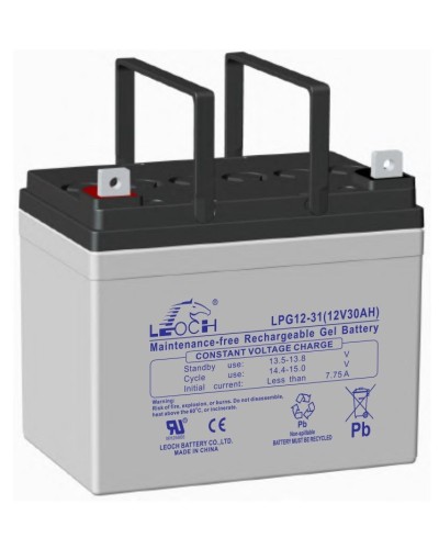 LEOCH LPG 12-31. Аккумулятор герметичный свинцово-кислотный. LEOCH в Сургуте