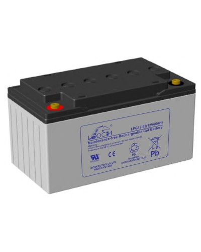 LEOCH LPG 12-65. Аккумулятор герметичный свинцово-кислотный. LEOCH в Сургуте