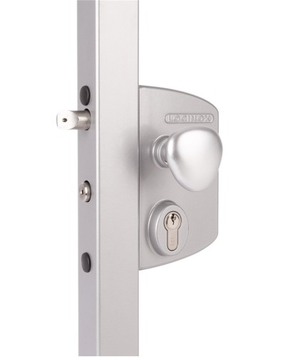LIKQ4040 U2L (цвет: RAL 9005, черный). Замок электромеханический для калиток. Locinox в Сургуте