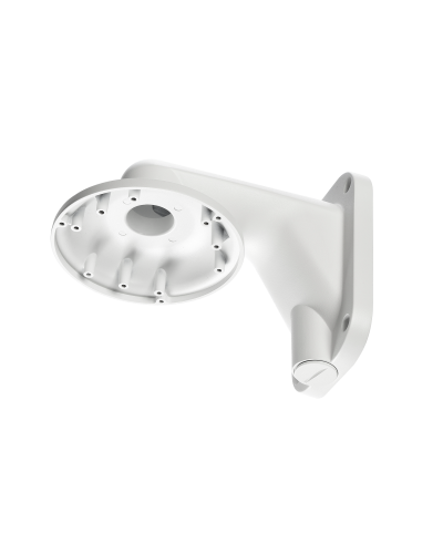 RVi-1BWM-5 white. Кронштейн настенный. RVi в Сургуте