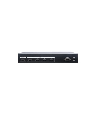 HS04-4K6G. Разветвитель. SC&T в Сургуте