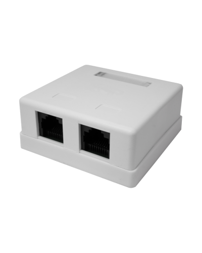 Розетка настенная RJ-45, 8P8C, Cat.5e, 2 порта UTP (10-0309): Компьютерная розетка в Сургуте