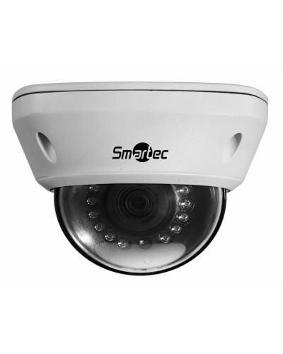 STC-IPM5591/1. Видеокамера IP купольная. Smartec в Сургуте