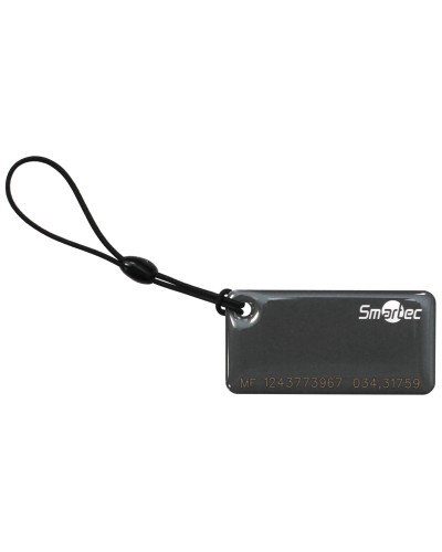 ST-PT015MF-GR. Брелок. Smartec в Сургуте