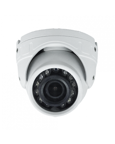 ST-S4501 (2.8) (белый). Профессиональная видеокамера IP купольная. Space Technology в Сургуте