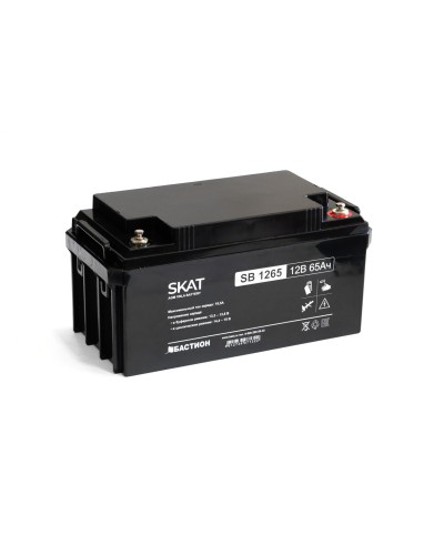 SKAT SB 1265 (2541). Аккумулятор герметичный свинцово-кислотный. Бастион в Сургуте