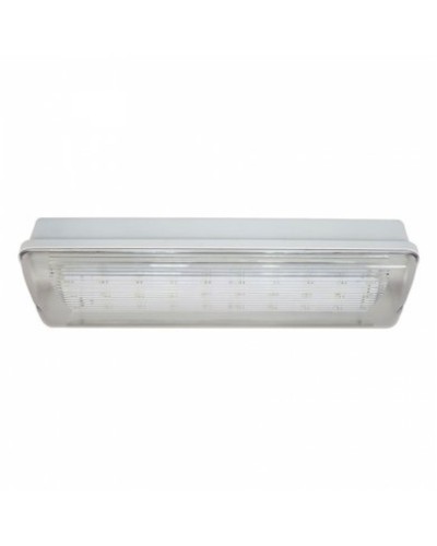 SL-213-30LED1.8 исп. 1 IP65. Светильник аварийного освещения. ИП Раченков А.В. в Сургуте