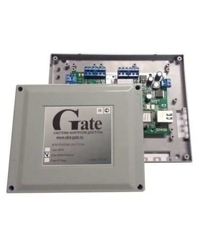 Gate-8000 Ethernet. Сетевой контроллер. Равелин в Сургуте