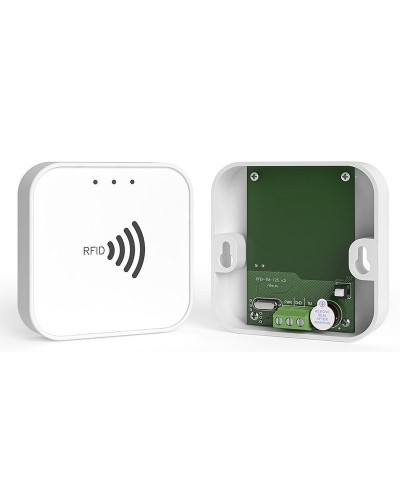 RFID-TM. Считыватель RFID. Ритм в Сургуте